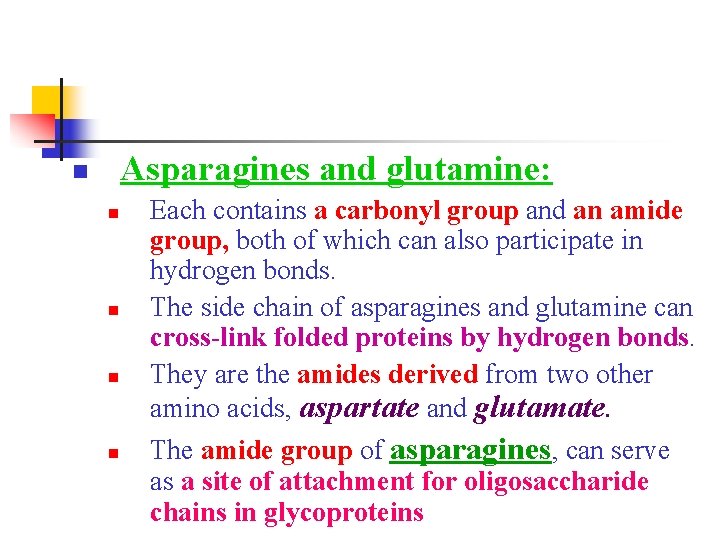 Asparagines and glutamine: n n n Each contains a carbonyl group and an amide