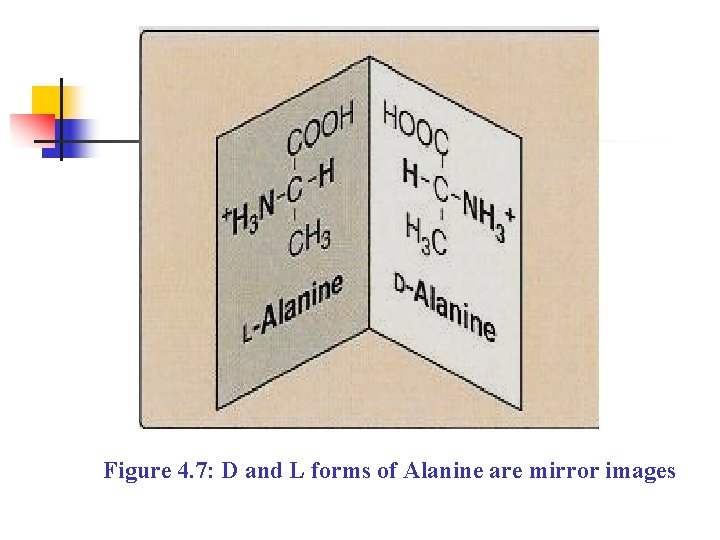 Figure 4. 7: D and L forms of Alanine are mirror images 