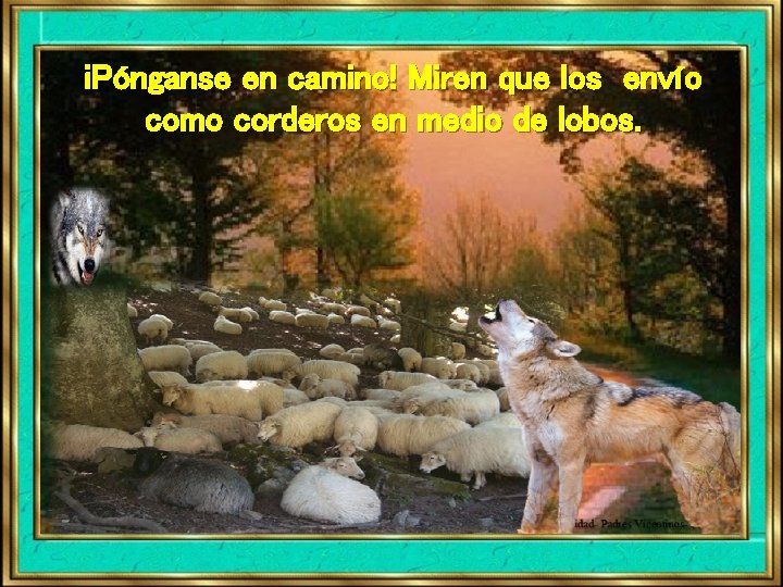 ¡Pónganse en camino! Miren que los envío como corderos en medio de lobos. ¡Pónganse en camino! Miren que los envío como corderos en medio de lobos.