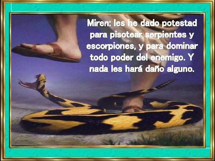 Miren: les he dado potestad para pisotear serpientes y escorpiones, y para dominar todo Miren: les he dado potestad para pisotear serpientes y escorpiones, y para dominar todo