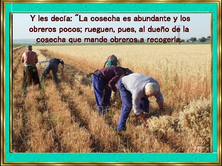 Y les decía: "La cosecha es abundante y los obreros pocos; rueguen, pues, al Y les decía: "La cosecha es abundante y los obreros pocos; rueguen, pues, al