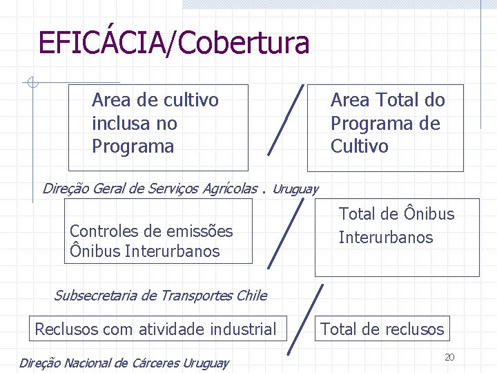 EFICÁCIA/Cobertura Area de cultivo inclusa no Programa Area Total do Programa de Cultivo Direção