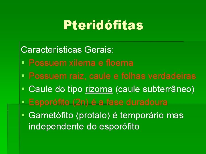 Pteridófitas Características Gerais: § Possuem xilema e floema § Possuem raiz, caule e folhas