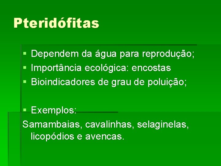 Pteridófitas § § § Dependem da água para reprodução; Importância ecológica: encostas Bioindicadores de