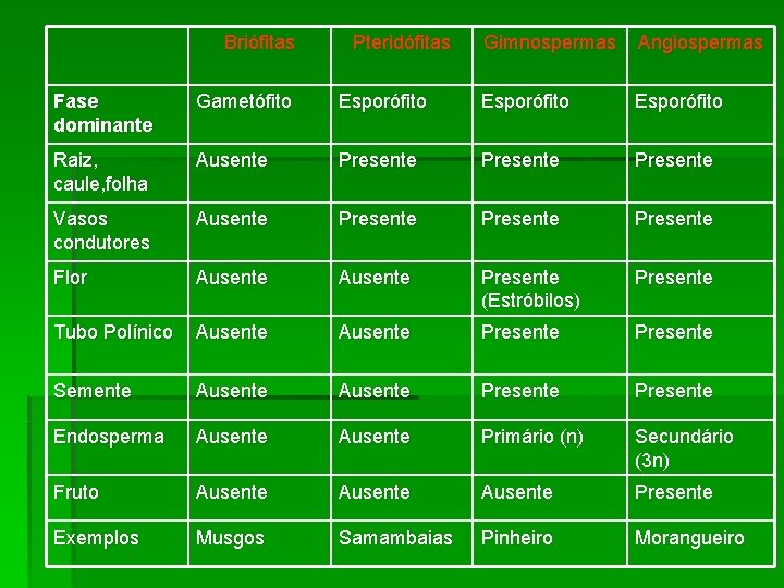 Briófitas Pteridófitas Gimnospermas Angiospermas Fase dominante Gametófito Esporófito Raiz, caule, folha Ausente Presente Vasos