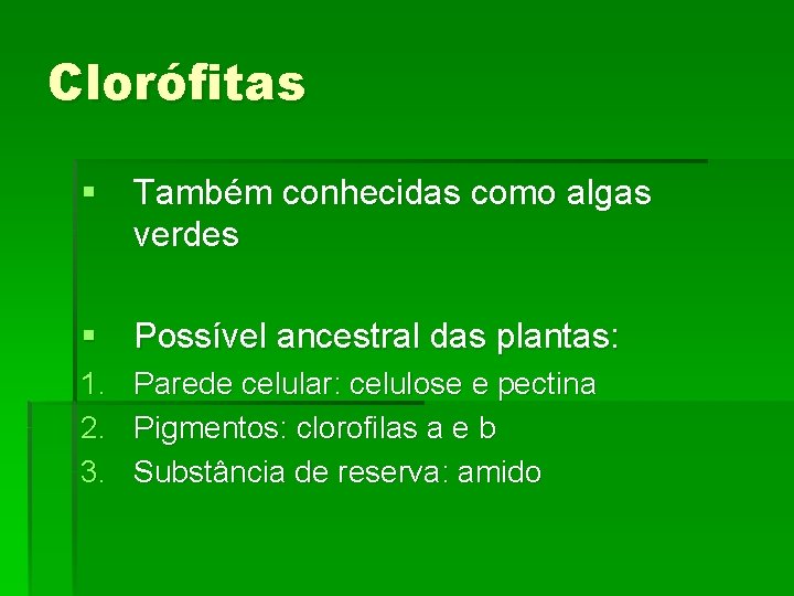 Clorófitas § Também conhecidas como algas verdes § Possível ancestral das plantas: 1. Parede
