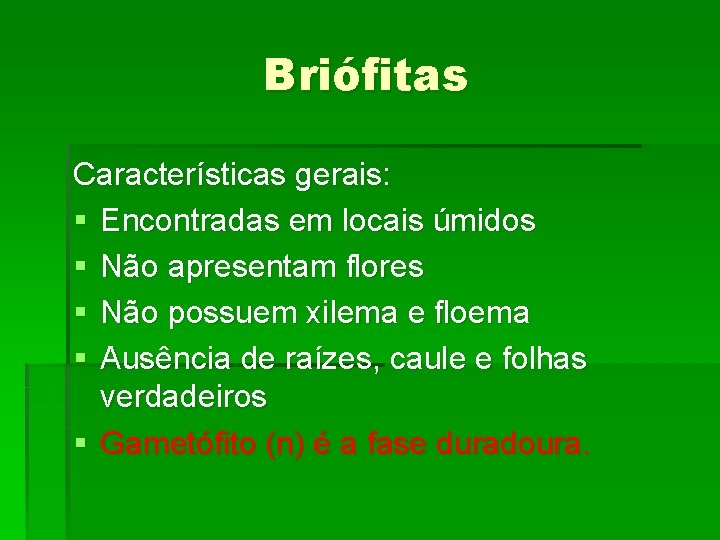 Briófitas Características gerais: § Encontradas em locais úmidos § Não apresentam flores § Não