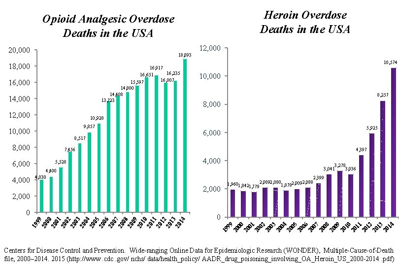 Heroin Overdose Deaths in the USA Opioid Analgesic Overdose Deaths in the USA 20,