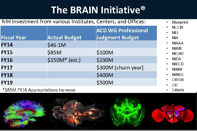 The BRAIN Initiative® NIH Investment from various Institutes, Centers, and Offices: Fiscal Year FY