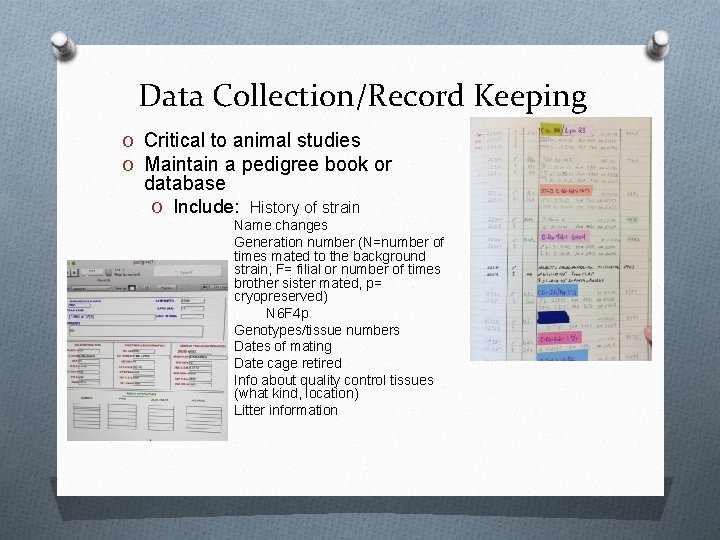 Data Collection/Record Keeping O Critical to animal studies O Maintain a pedigree book or Data Collection/Record Keeping O Critical to animal studies O Maintain a pedigree book or