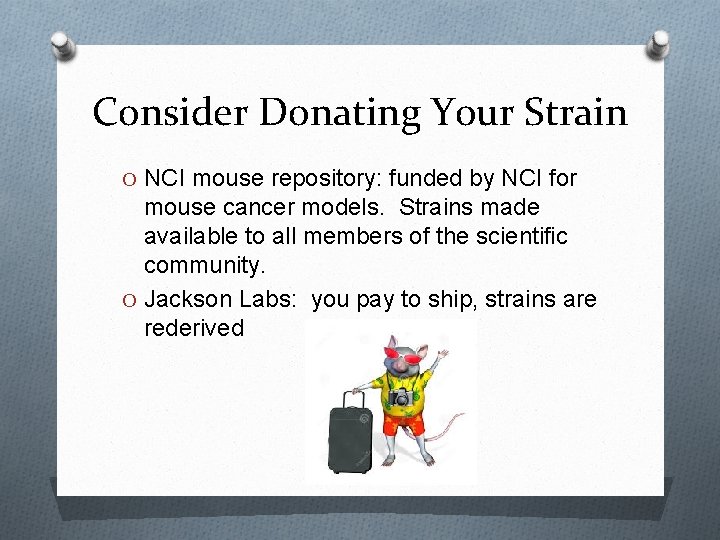 Consider Donating Your Strain O NCI mouse repository: funded by NCI for mouse cancer