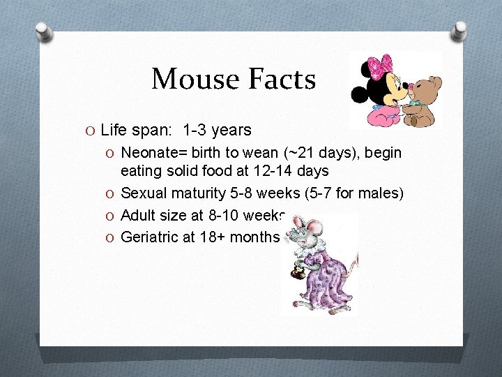 Mouse Facts O Life span: 1 -3 years O Neonate= birth to wean (~21