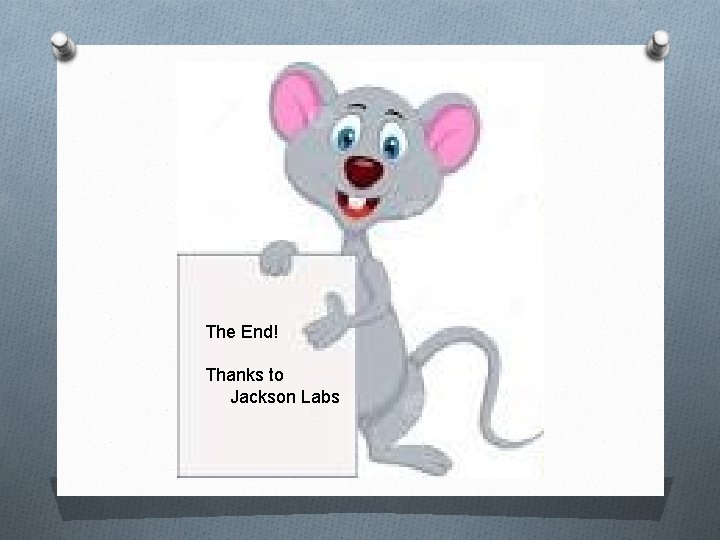 The End! Thanks to Jackson Labs 