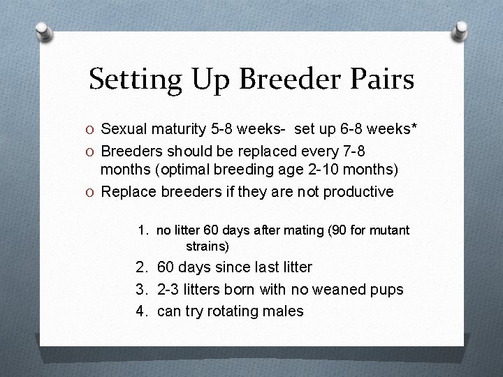 Setting Up Breeder Pairs O Sexual maturity 5 -8 weeks- set up 6 -8