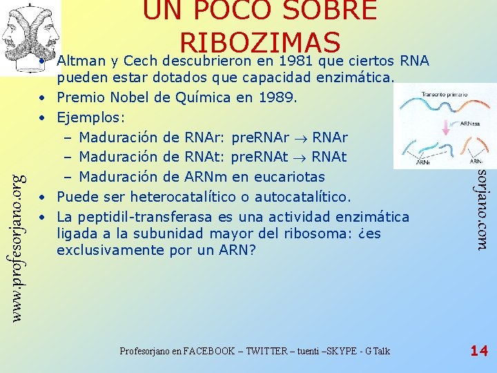 • www. profesorjano. org • • pueden estar dotados que capacidad enzimática. Premio • www. profesorjano. org • • pueden estar dotados que capacidad enzimática. Premio