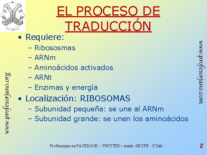 EL PROCESO DE TRADUCCIÓN www. profesorjano. org – Ribososmas – ARNm – Aminoácidos activados EL PROCESO DE TRADUCCIÓN www. profesorjano. org – Ribososmas – ARNm – Aminoácidos activados