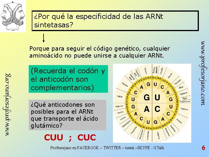 ¿Por qué la especificidad de las ARNt sintetasas? www. profesorjano. org (Recuerda el codón ¿Por qué la especificidad de las ARNt sintetasas? www. profesorjano. org (Recuerda el codón