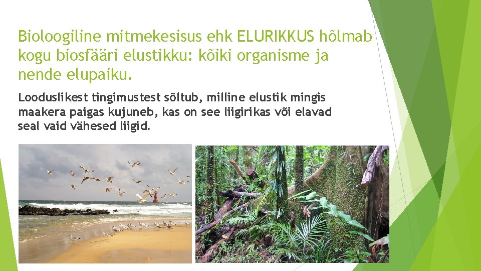 Bioloogiline mitmekesisus ehk ELURIKKUS hõlmab kogu biosfääri elustikku: kõiki organisme ja nende elupaiku. Looduslikest Bioloogiline mitmekesisus ehk ELURIKKUS hõlmab kogu biosfääri elustikku: kõiki organisme ja nende elupaiku. Looduslikest