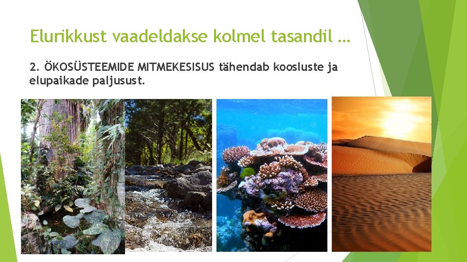 Elurikkust vaadeldakse kolmel tasandil … 2. ÖKOSÜSTEEMIDE MITMEKESISUS tähendab koosluste ja elupaikade paljusust. Elurikkust vaadeldakse kolmel tasandil … 2. ÖKOSÜSTEEMIDE MITMEKESISUS tähendab koosluste ja elupaikade paljusust.