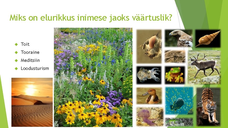 Miks on elurikkus inimese jaoks väärtuslik? Toit Tooraine Meditsiin Loodusturism Miks on elurikkus inimese jaoks väärtuslik? Toit Tooraine Meditsiin Loodusturism