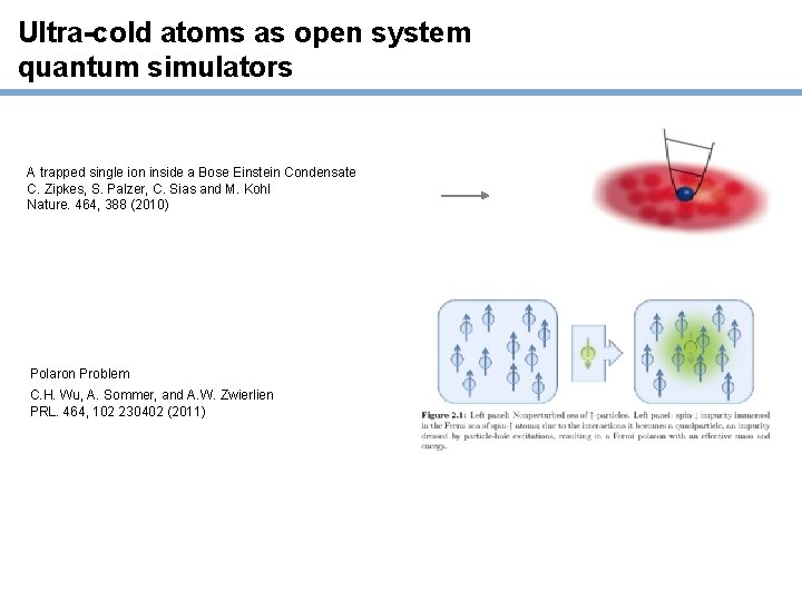 Ultra-cold atoms as open system quantum simulators A trapped single ion inside a Bose