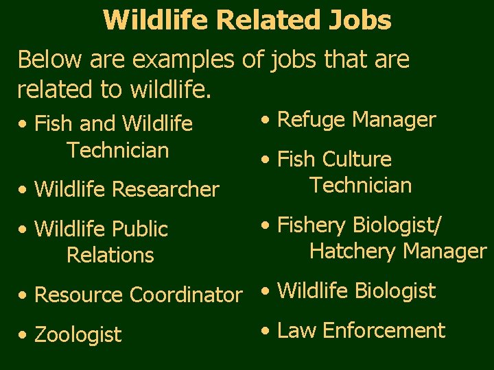 Wildlife Related Jobs Below are examples of jobs that are related to wildlife. •