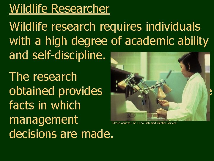 Wildlife Researcher Wildlife research requires individuals with a high degree of academic ability and