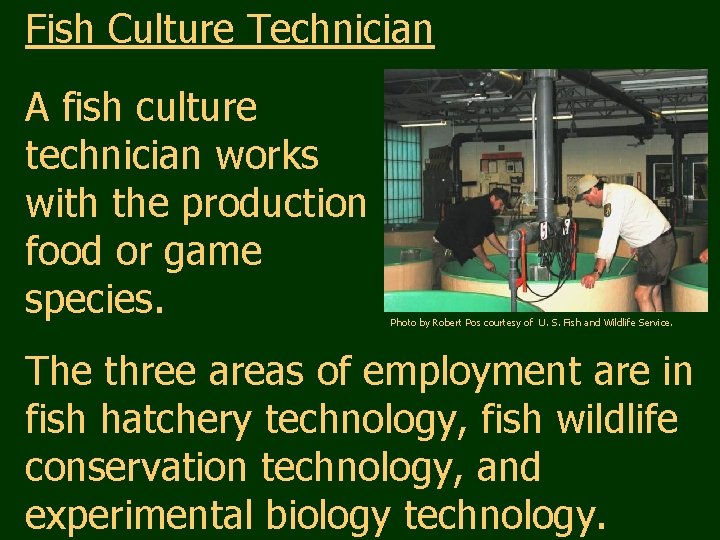 Fish Culture Technician A fish culture technician works with the production food or game