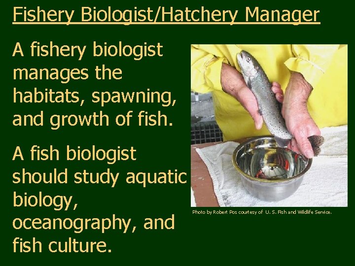 Fishery Biologist/Hatchery Manager A fishery biologist manages the habitats, spawning, and growth of fish.