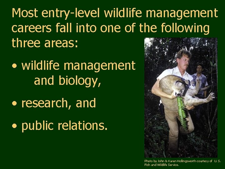 Most entry-level wildlife management careers fall into one of the following three areas: •