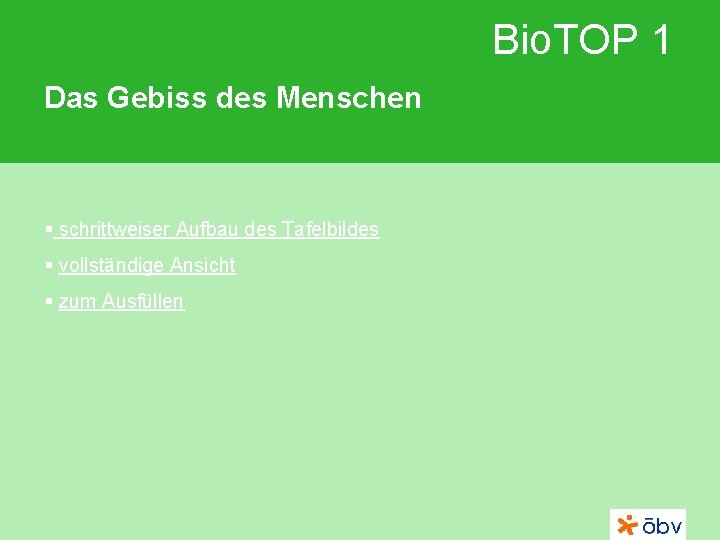 Bio. TOP 1 Das Gebiss des Menschen § schrittweiser Aufbau des Tafelbildes § vollständige