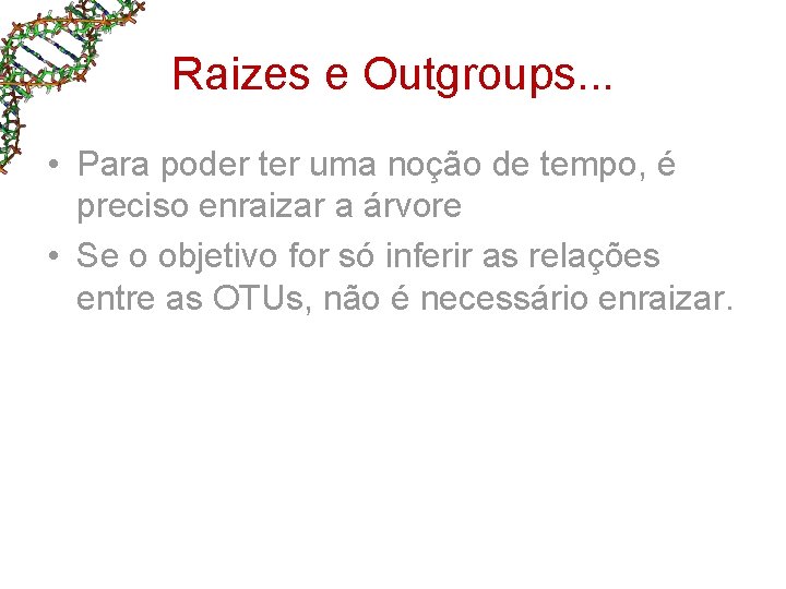 Raizes e Outgroups. . . • Para poder ter uma noção de tempo, é