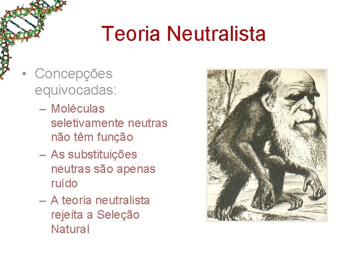 Teoria Neutralista • Concepções equivocadas: – Moléculas seletivamente neutras não têm função – As