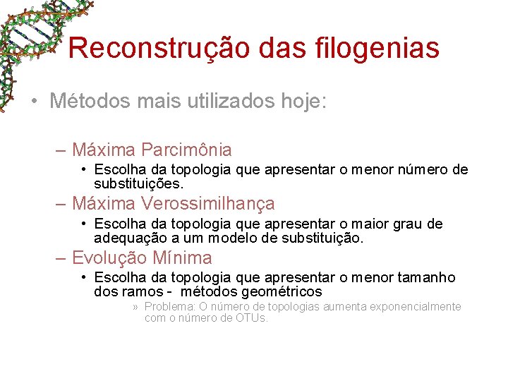 Reconstrução das filogenias • Métodos mais utilizados hoje: – Máxima Parcimônia • Escolha da