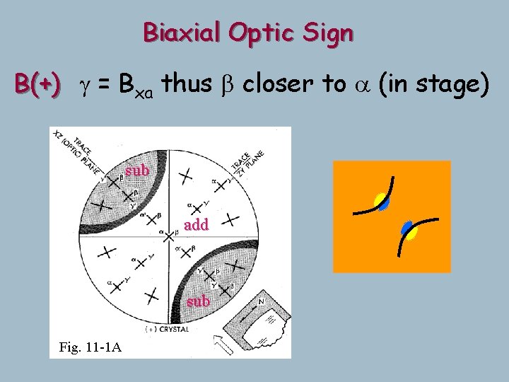 Biaxial Optic Sign B(+) g = Bxa thus b closer to a (in stage) Biaxial Optic Sign B(+) g = Bxa thus b closer to a (in stage)