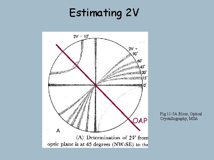 Estimating 2 V OAP Fig 11 -5 A Bloss, Optical Crystallography, MSA Estimating 2 V OAP Fig 11 -5 A Bloss, Optical Crystallography, MSA