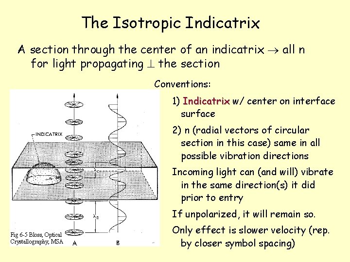 The Isotropic Indicatrix A section through the center of an indicatrix all n for The Isotropic Indicatrix A section through the center of an indicatrix all n for