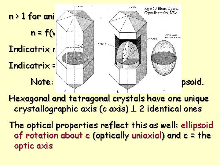 n > 1 for anisotropic substances Fig 6 -10 Bloss, Optical Crystallography, MSA n n > 1 for anisotropic substances Fig 6 -10 Bloss, Optical Crystallography, MSA n