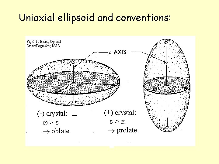 Uniaxial ellipsoid and conventions: Fig 6 -11 Bloss, Optical Crystallography, MSA (-) crystal: w>e Uniaxial ellipsoid and conventions: Fig 6 -11 Bloss, Optical Crystallography, MSA (-) crystal: w>e