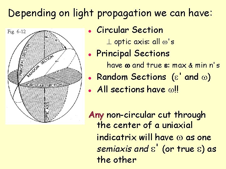 Depending on light propagation we can have: Fig. 6 -12 l Circular Section ^ Depending on light propagation we can have: Fig. 6 -12 l Circular Section ^