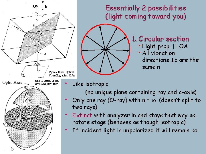 O Essentially 2 possibilities (light coming toward you) E 1. Circular section • Light O Essentially 2 possibilities (light coming toward you) E 1. Circular section • Light