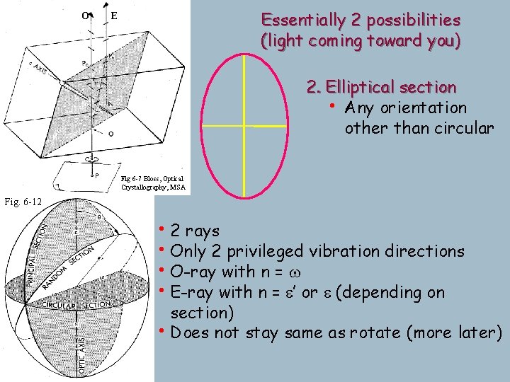 O Essentially 2 possibilities (light coming toward you) E 2. Elliptical section • Any O Essentially 2 possibilities (light coming toward you) E 2. Elliptical section • Any