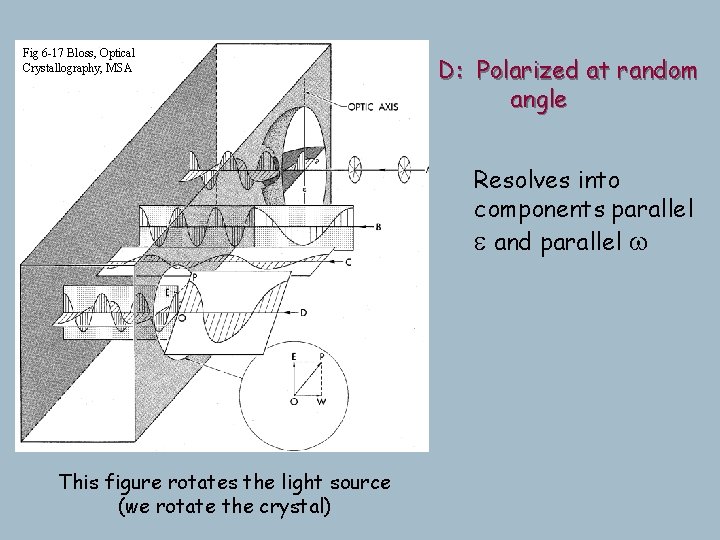 Fig 6 -17 Bloss, Optical Crystallography, MSA B-C: Polarized parallel e and w at Fig 6 -17 Bloss, Optical Crystallography, MSA B-C: Polarized parallel e and w at