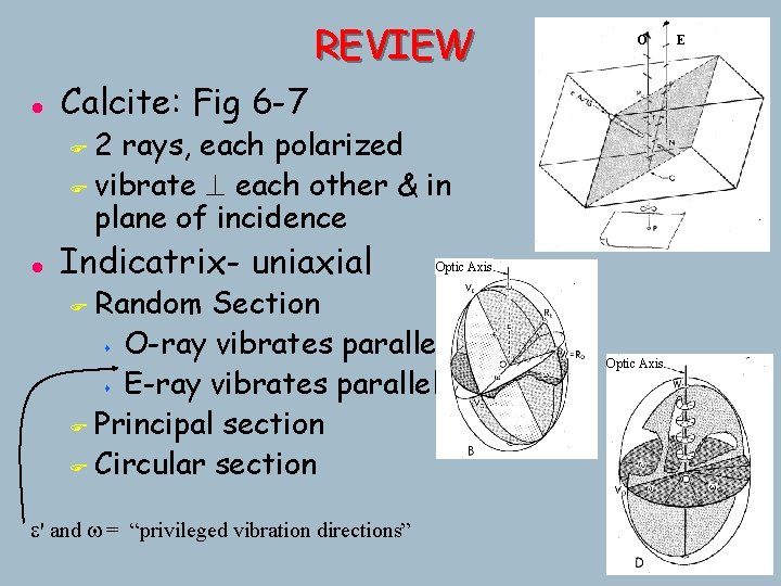 REVIEW l O Calcite: Fig 6 -7 2 rays, each polarized F vibrate ^ REVIEW l O Calcite: Fig 6 -7 2 rays, each polarized F vibrate ^