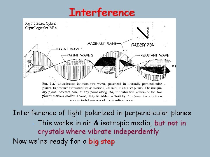 Interference Fig 7 -2 Bloss, Optical Crystallography, MSA Interference of light polarized in perpendicular Interference Fig 7 -2 Bloss, Optical Crystallography, MSA Interference of light polarized in perpendicular
