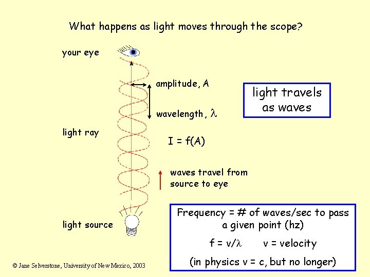 What happens as light moves through the scope? your eye amplitude, A wavelength, light What happens as light moves through the scope? your eye amplitude, A wavelength, light