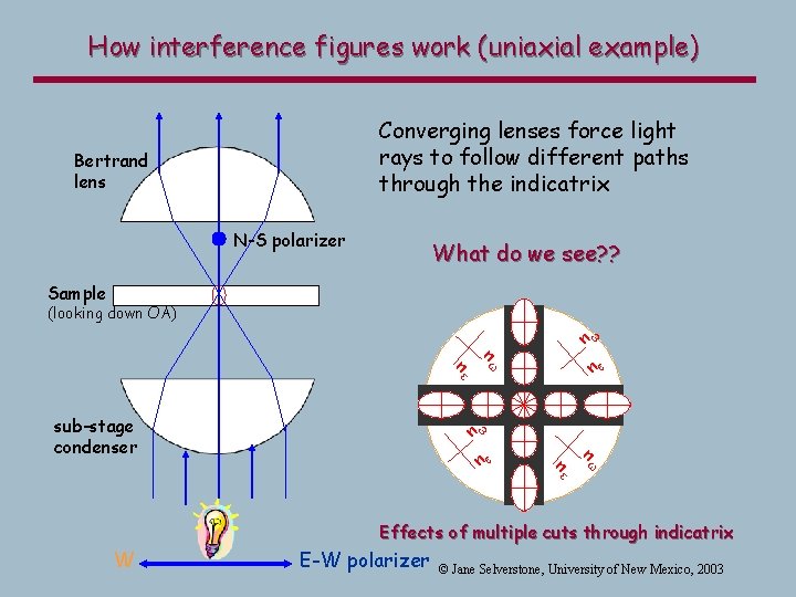 How interference figures work (uniaxial example) Converging lenses force light rays to follow different How interference figures work (uniaxial example) Converging lenses force light rays to follow different