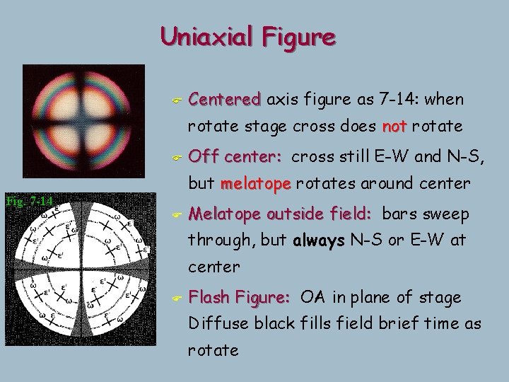Uniaxial Figure F Centered axis figure as 7 -14: when rotate stage cross does Uniaxial Figure F Centered axis figure as 7 -14: when rotate stage cross does