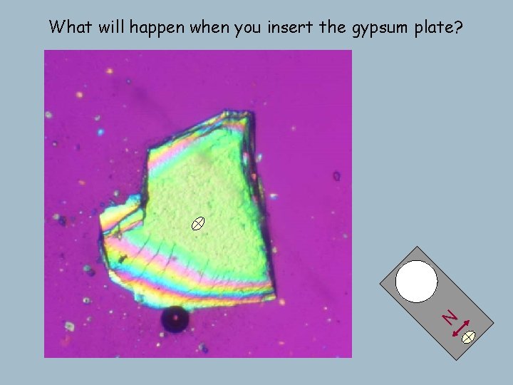 N What will happen when you insert the gypsum plate? N What will happen when you insert the gypsum plate?