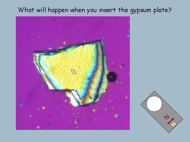 N What will happen when you insert the gypsum plate? N What will happen when you insert the gypsum plate?